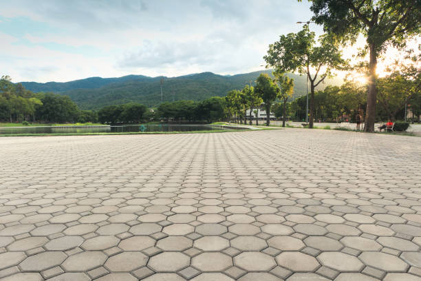 Best Professional Driveway Pavers  in Crittenden, KY